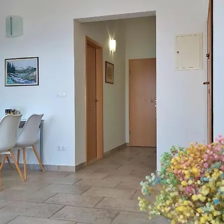 Ferienwohnung Fur 4 Personen Ca 45 Qm In Borak, Dalmatien Mitteldalmatien *